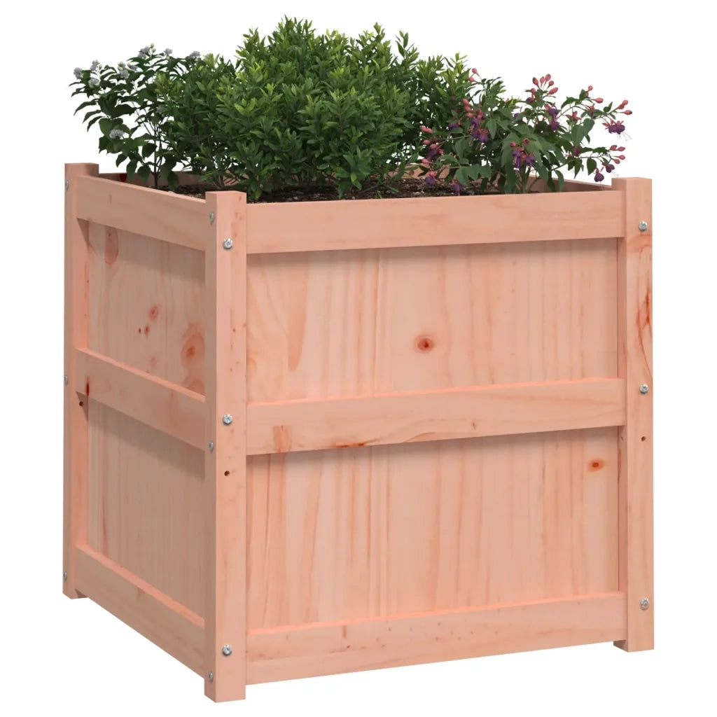 Fioriera da Giardino 60x60x60 cm in Legno Massello Di Douglas 837430