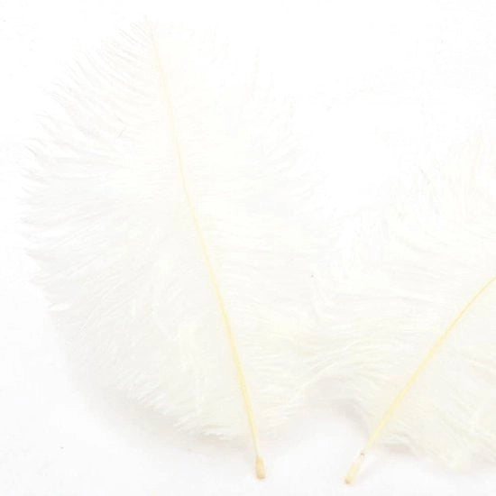 Corona d'oro - Piume di struzzo naturali - Piume per dromedario - 20 pezzi - 15-20 cm - Decorazione per la casa - Molteplicamente utilizzabile per matrimoni e feste di compleanno