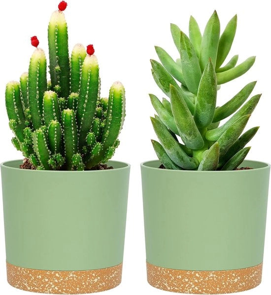 Pacchetto di 2 vasi di 12,7 cm, vasi per piante indoor con fori di drenaggio e fondo rimovibile, sottopiede, decorazione moderna per piante da giardino all'aperto (verde 12,7 cm)