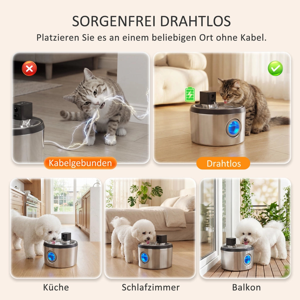 Fontanella per Gatti 4L ¨C Zephmum ¨C Senza Fili Inox con Sensore di Movimento 6 Filtri