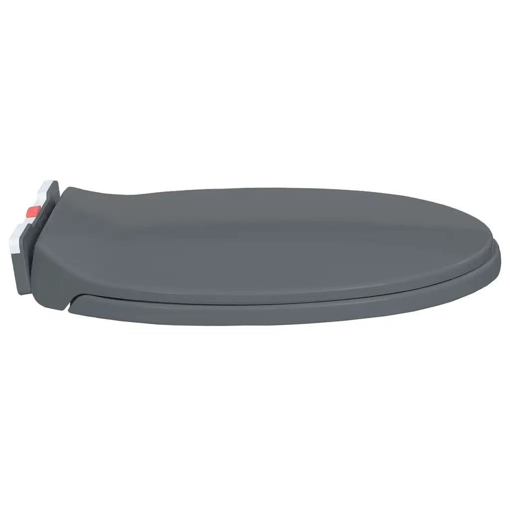 Copriwater Chiusura Ammortizzata e Sgancio Rapido Grigio Ovale CFW3311238