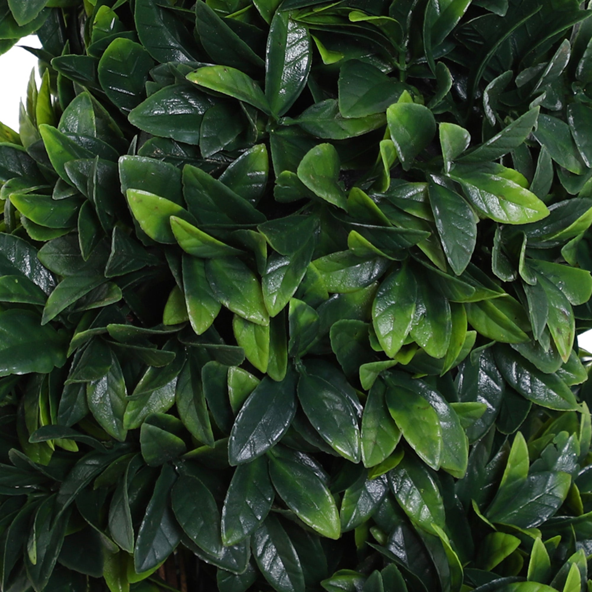 Set 2 Piante Artificiali di Bosso Ø32x120 cm a Spirale per Interni ed Esterni con Vaso Verde