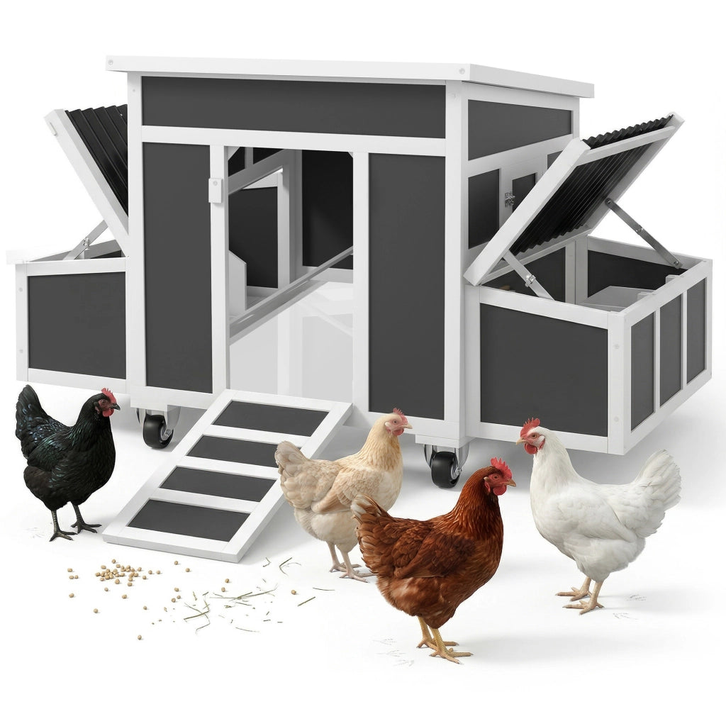 Pollaio in Legno per Galline con Nidi ¨C zephmum ¨C Grigio Scuro 100x60x80