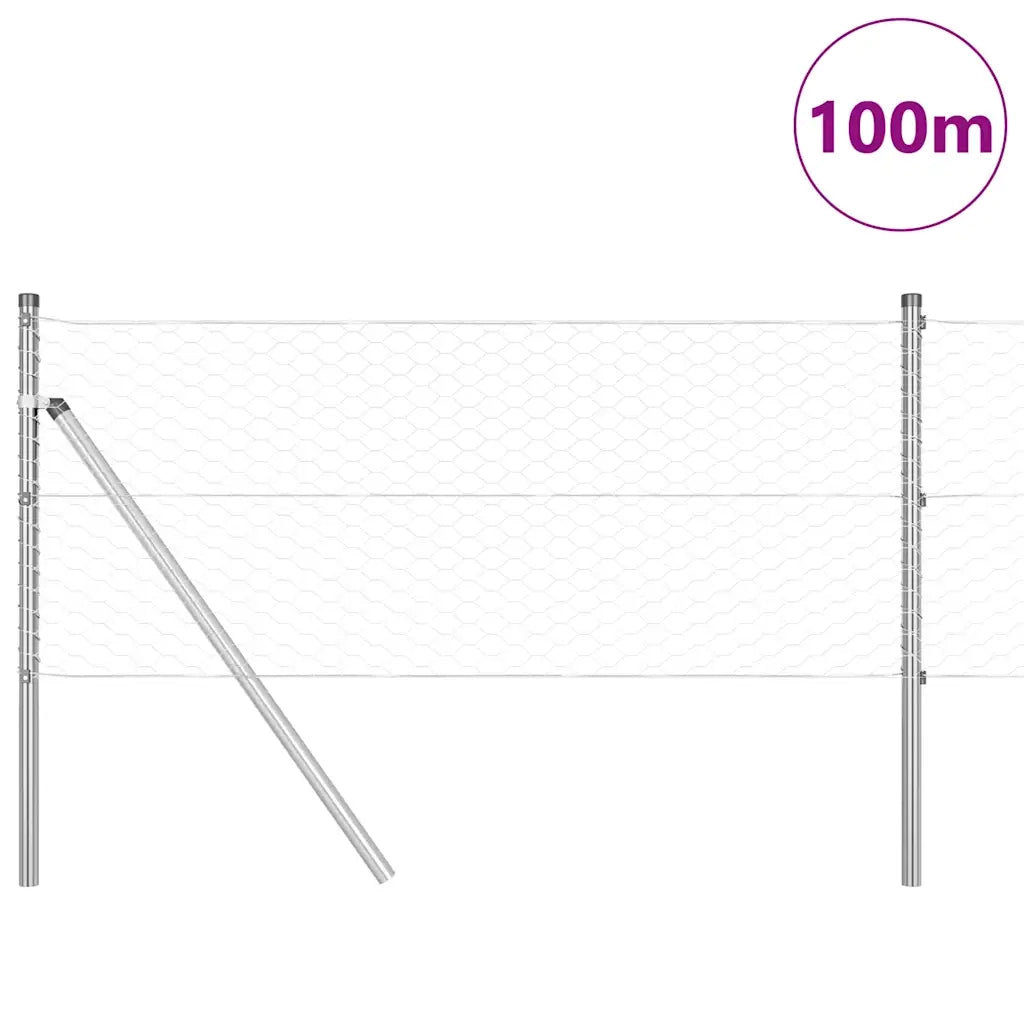 Palo della recinzione Argento 100 x 0,6 m (rete 36 mm) Acciaio