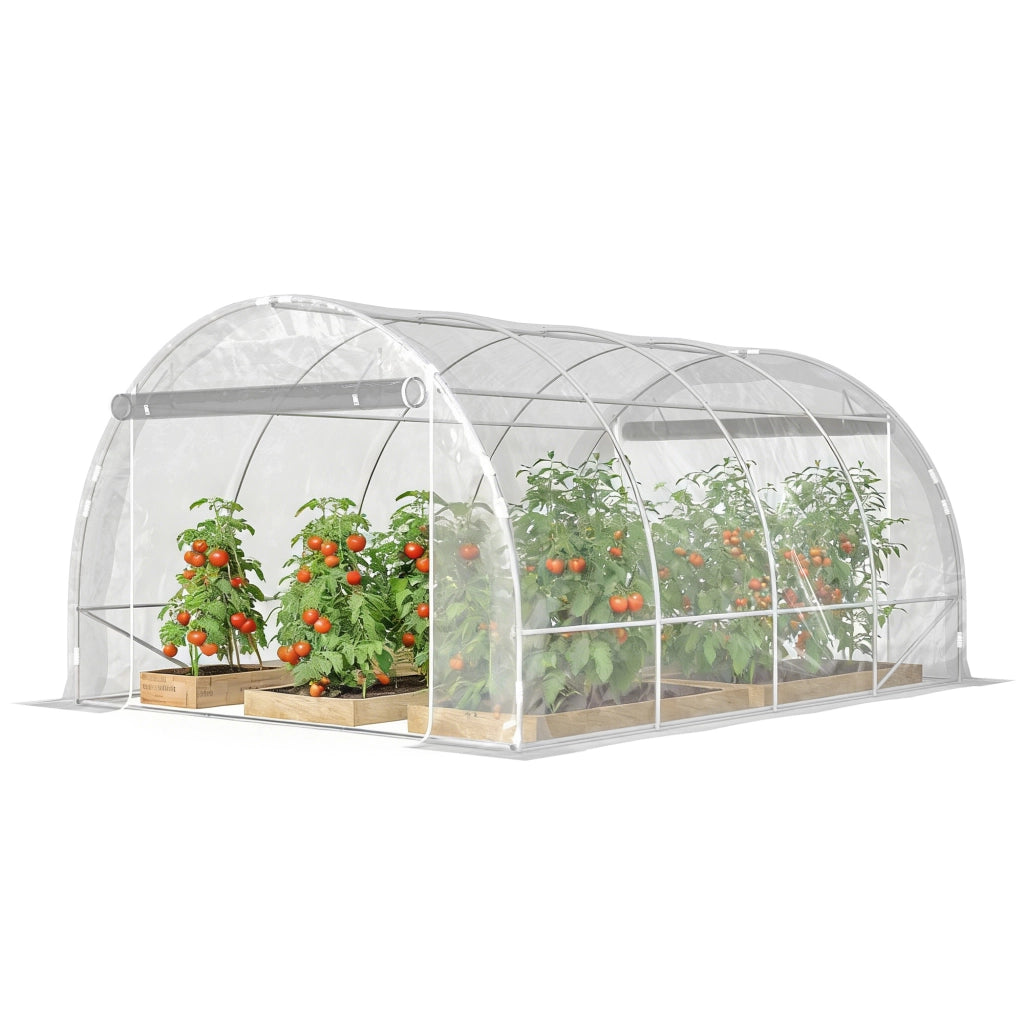 Serra da Giardino Tunnel ¨C zephmum ¨C Trasparente Acciaio PE Anti-UV 3x4x2 m