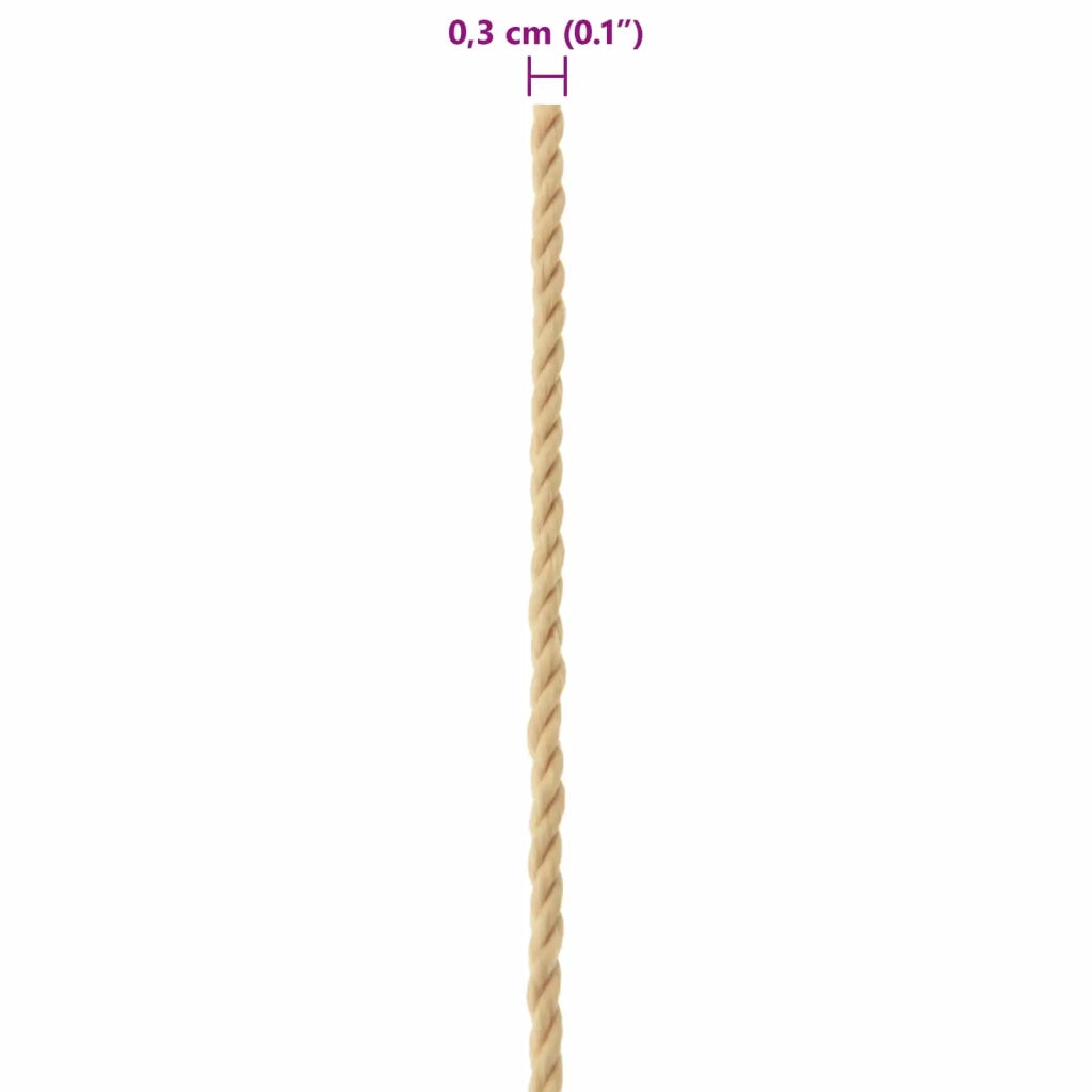 Corda da Barca 100 m 0.3 Naturale PP 42029658
