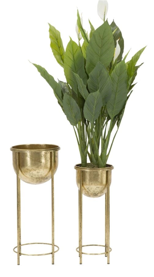 P/FIORI GLAM COPPIA CM � 27X62-21,5X52