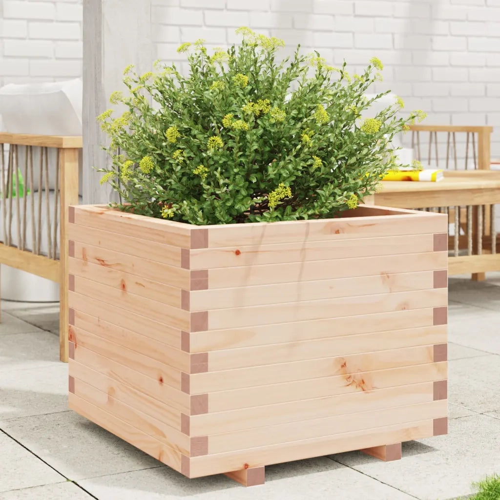 Fioriera | Cassetta per fiori | Vaso da Giardino 60x60x49,5 cm in Legno Massello di Pino