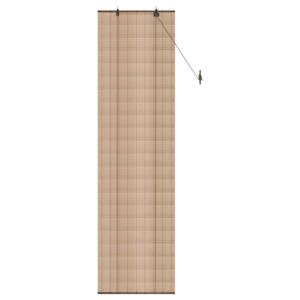 Tenda a rullo Marrone 60 x 220 cm Bambù 42039701