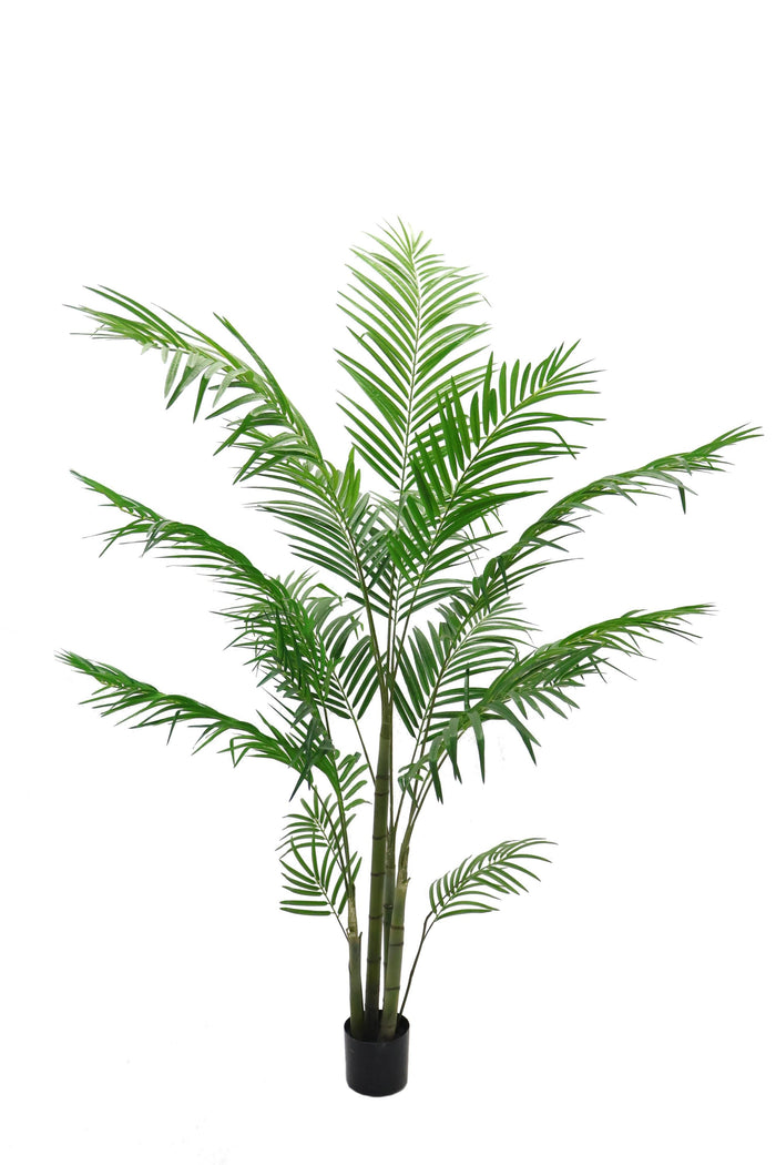 Areca Palm Artificiale con Vaso Altezza 185 cm Verde