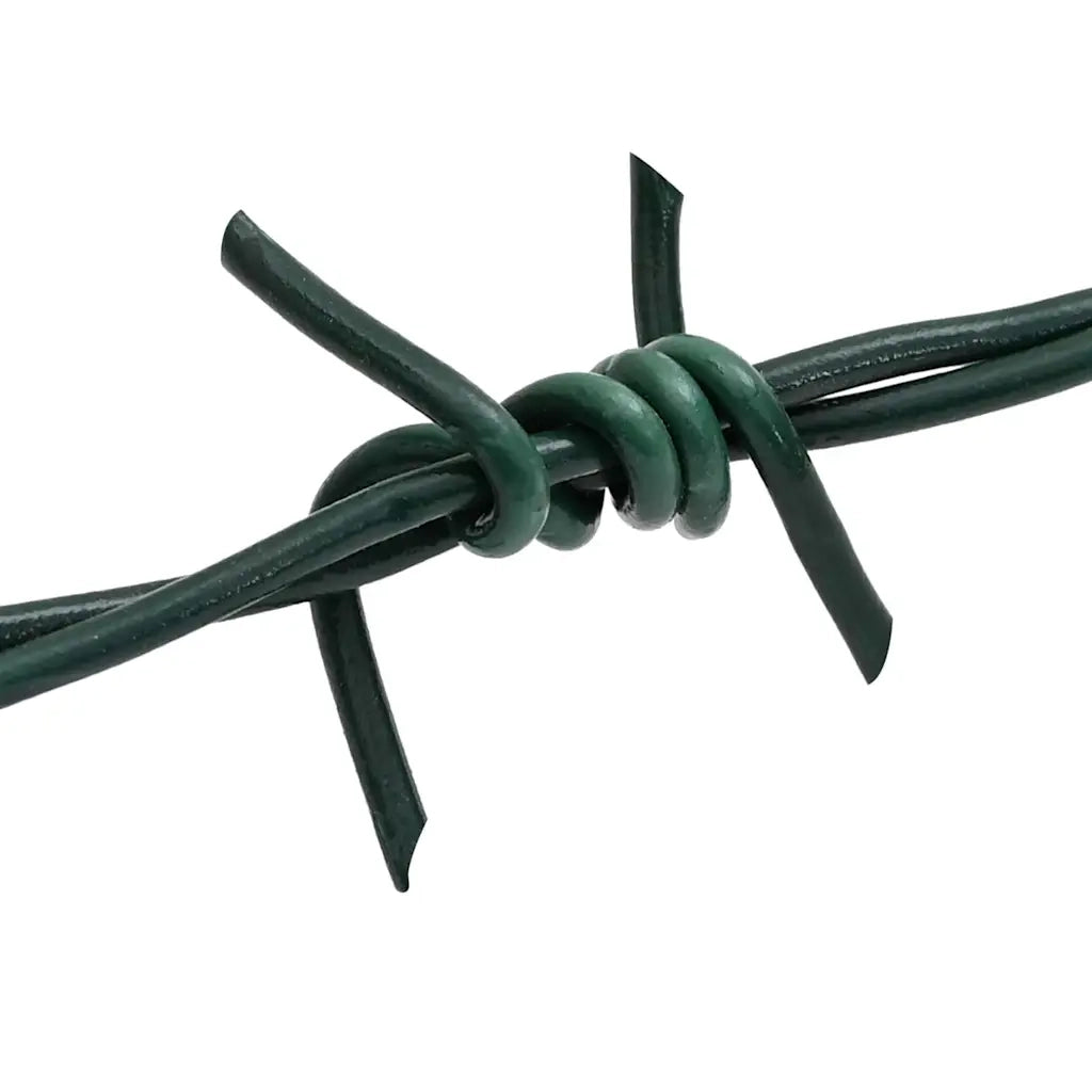 Fil di Ferro Spinato Verde 100 m Acciaio Zincato a Caldo CFW5550576