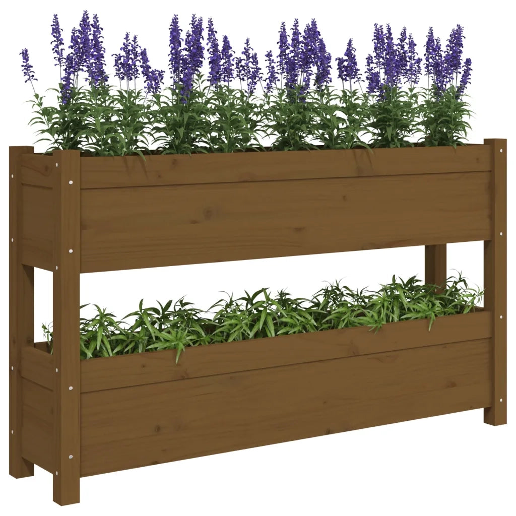 Fioriera Marrone Ambra 112x25x66 cm in Legno Massello di Pino