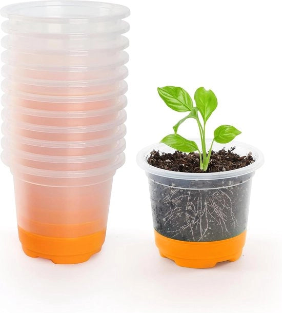 Set di vasi per piante, 12 pezzi, 10 cm, vasi per piante trasparenti con piede in silicone, vasi in plastica riciclabili per piante, fiori, verdure, arancione