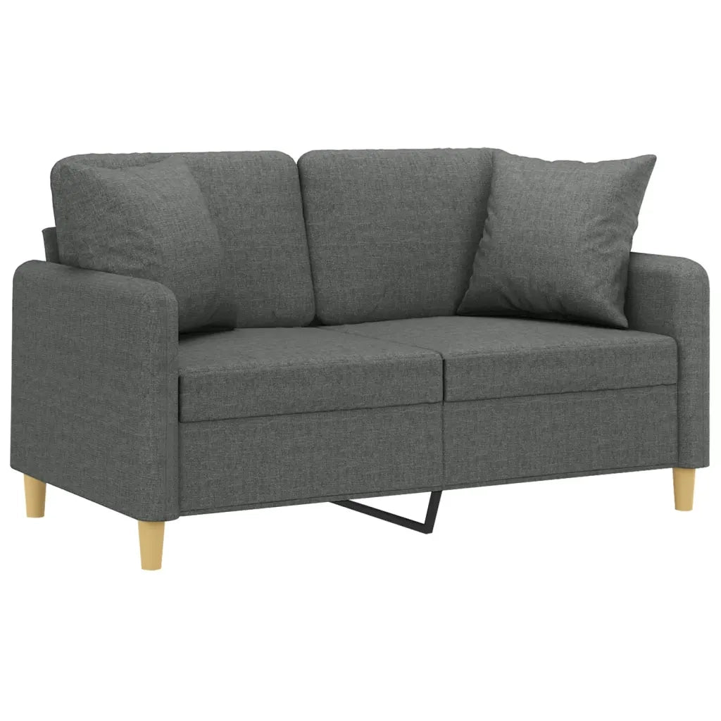 Divano a 2 Posti con Cuscini-Sofa 2 Posti con Cuscini Grigio Scuro 120 cm in Tessuto 859614