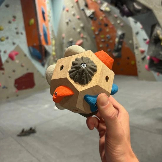 Blocchi di roccia artigianali | Rafforzatore delle mani e trainer per la presa per arrampicatori di roccia | Strumento di allenamento per boulder | Regalo ideale per principianti e professionisti
