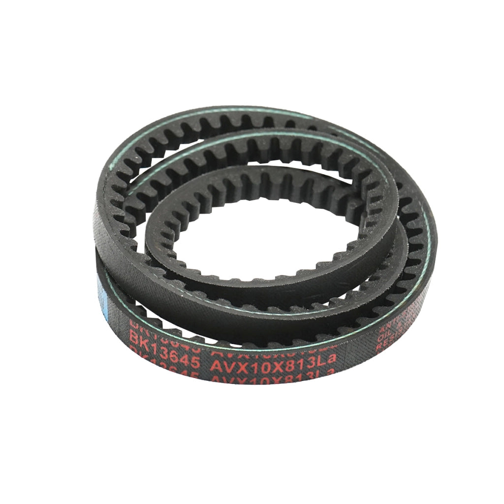 Cinghia di trasmissione AVX 10X813 La