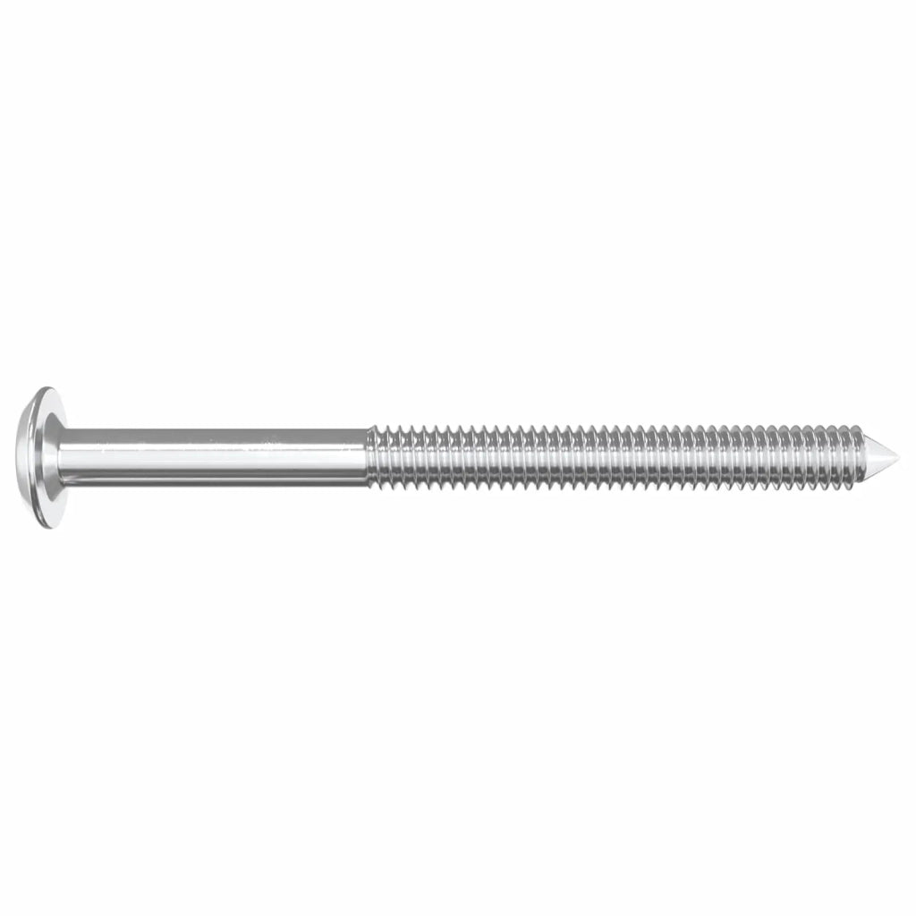 Viti per mobili 2 pz Argento M6 x 70 mm Acciaio CFW2123732
