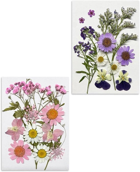 Set di fiori essiccati per arte e decorazione con resina epossidica - Accessori per scrapbook DIY - Decorazione domestica artigianale