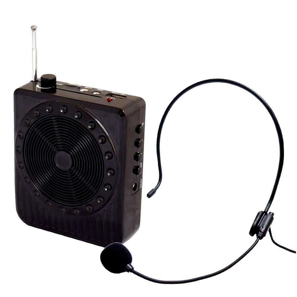 Trade Shop - Radio Fm Karaoke Usb Cassa Speaker Microfono Archetto Amplificatore Audio 20w -