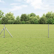 Recinzione con Posto Argento 0,6 x 50 m Acciaio e PVC