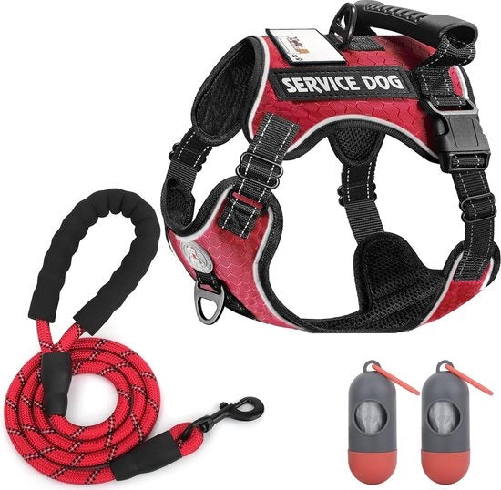 Cinturone per cani, in tessuto, con maniglia di regolazione, cinturone di sicurezza riflettente, regolabile, imbottito, per grandi/midi/cuccioli (L)