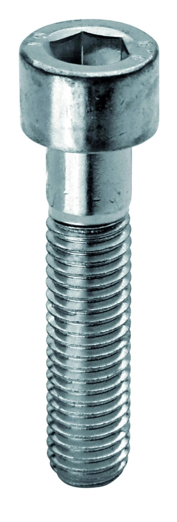 Ambrovit VITE IN ACCIAIO TC CON ESAGONO INCASSATO  M 8x30 mm. 20.00 decine