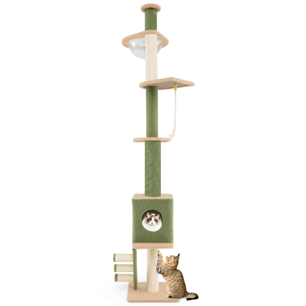 Albero per gatti da pavimento a soffitto con altezza regolabile 218-253cm, Centro attivit¨¤ con 5 livelli per gatti Verde-Alberi Tiragraffi