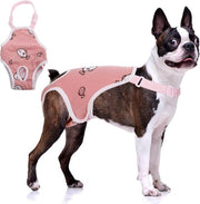 Luiers per cane - asciugamano per cani con cinture regolabili - mutande per cani riscaldabili per maschi - abbigliamento per animali domestici jumpsuit per cani in calore - rosso - M