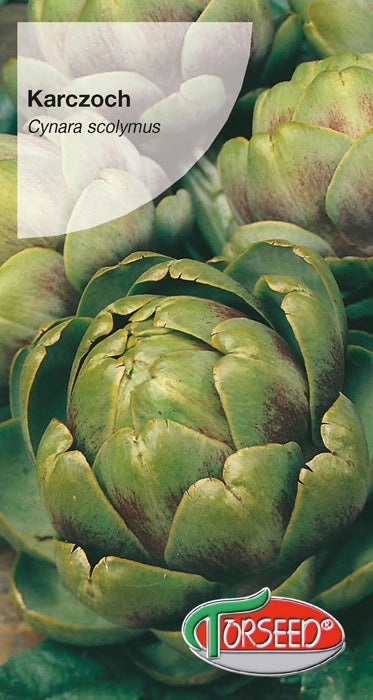 Carciofo Cynara scolymus 1g
