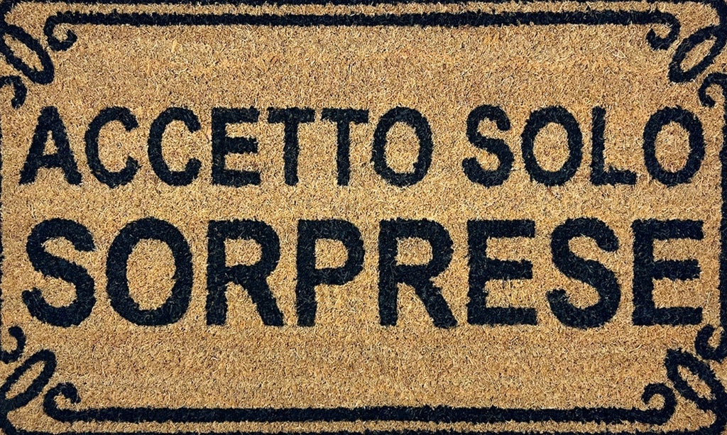 Zerbino Ingresso Casa In Fibra Di Cocco Con Base In Pvc  Dis7Sorpresa