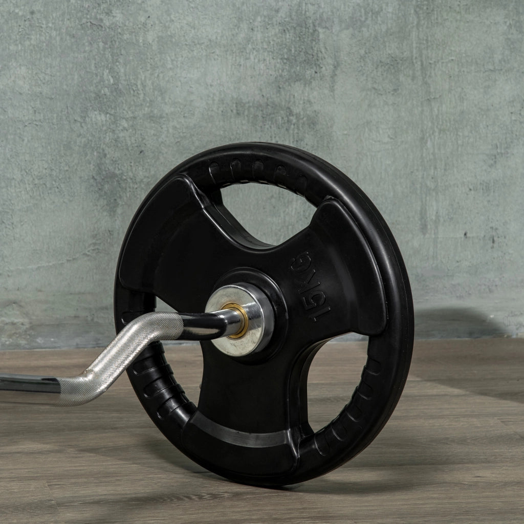 Disco per Manubrio ¨C Xylo ¨C Set da 2, 15 kg ciascuno, tre impugnature, rivestimento in gomma