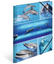 Set di cartellini A4 delfini, 3 pezzi, cartellini per bambini di cartone con motivo animale, cintura elastica, cartellini interni e stampa interna per bambini maschi e femmine