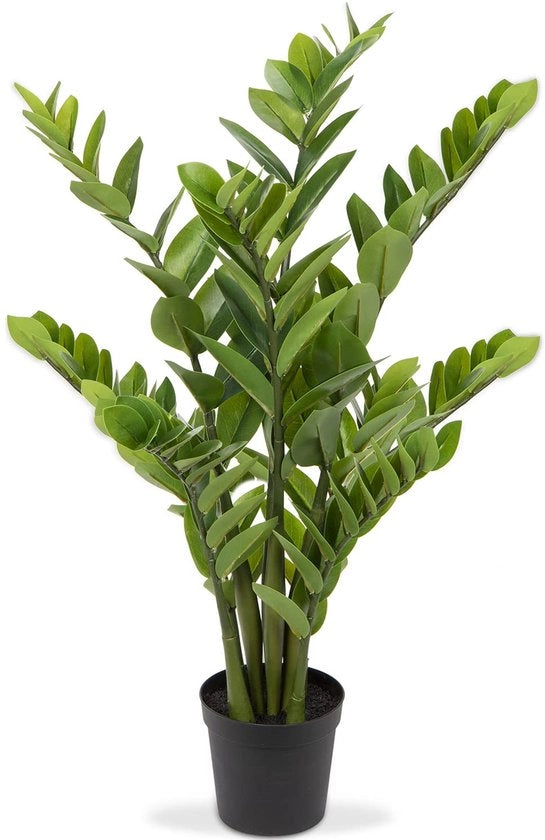 Pianta ornamentale grande Zamioculcas 100cm, pianta ornamentale in vaso decorazione per arredamento tavolo, ufficio, bagno, camera da letto, soggiorno, decorazione, regalo di benvenuto per casa