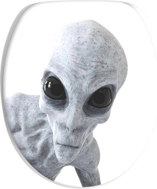 Braccio di toilette con meccanismo di chiusura morbido, ampia scelta, superficie di alta qualità, montaggio semplice, sospensioni stabili, modello Alien