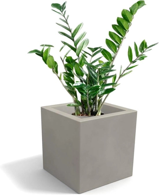 Vaso Quadrato Dove Grigio Grande Capacità 45 x 45 cm Altezza e Profondità 45 cm