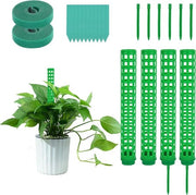 Supporto per piante in plastica per piante rampicanti 4 pezzi - verde - supporto per piante rampicanti - sostegno per piante di Monstera