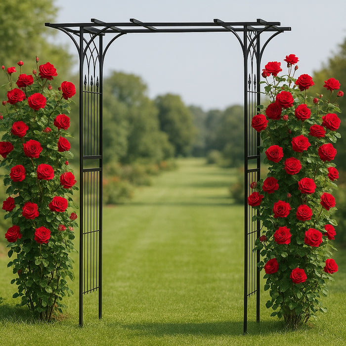 Arco da giardino per rose e piante rampicanti 205x50x208cm acciaio nero
