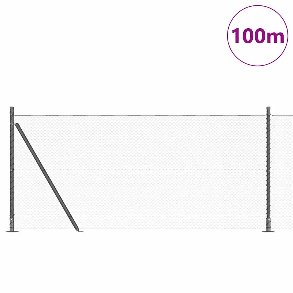Palo della recinzione Grigio 100 x 1 m (maglia 13 mm)