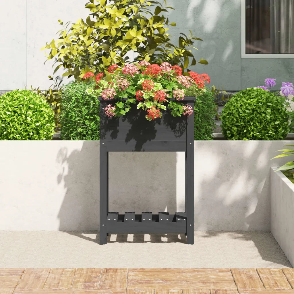 Fioriera | Cassetta per fiori | Vaso con Mensola Grigia 54x34,5x81cm Legno Massello di Pino