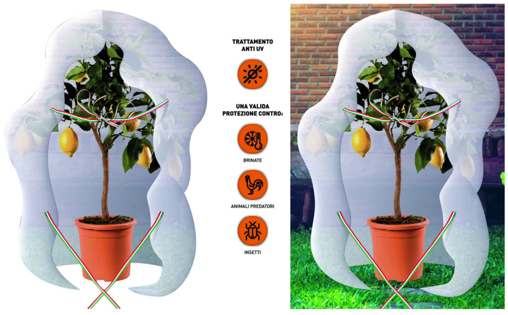 TELO ANTIGELO PROTEZIONE PER ORTAGGI T.N.T.BRIXO AGRITHERMO MANTELLO 320X160CM