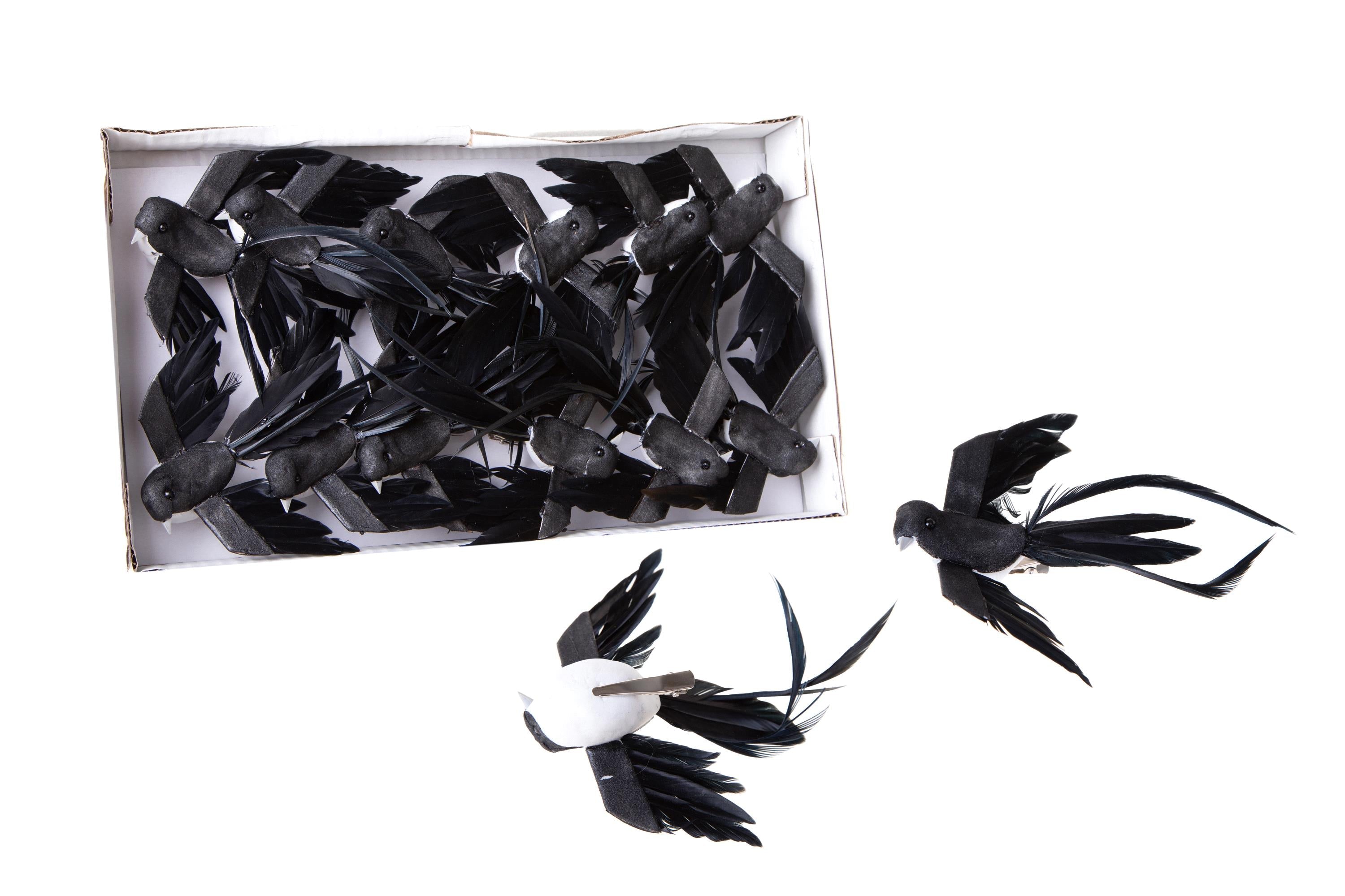 Rondini 10 cm 12 Pz con Clip