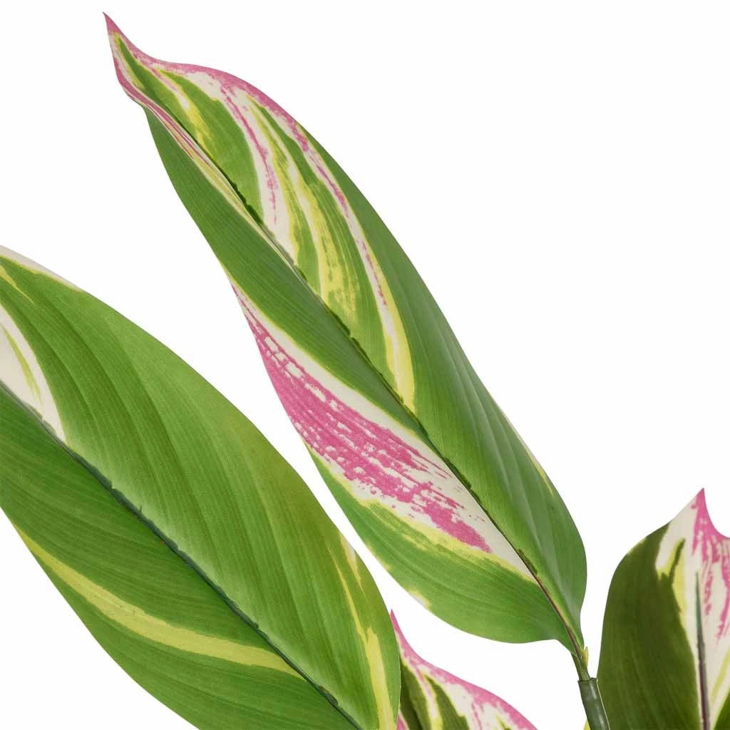 Pianta artificiale decorativa verde con 12 foglie verde 65x65x120