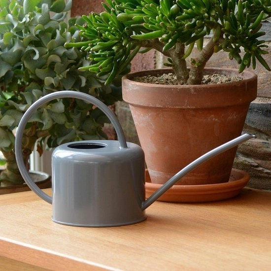 Giocatore per interni 11 l acciaio inossidabile verniciato con smalto a base di carbonato di calcio colore gesso per piante da appartamento design moderno in metallo con scarico stretto e manico alto (grigio)