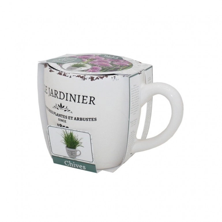 Kit Coltivazione per l'Erba Cipollina, con vaso in ceramica, terriccio e semi