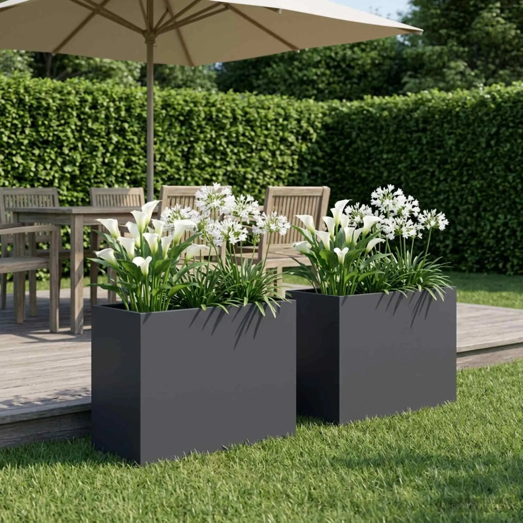 Vaso da giardino 2 pz Antracite 60 x 30 x 40 cm 8005559