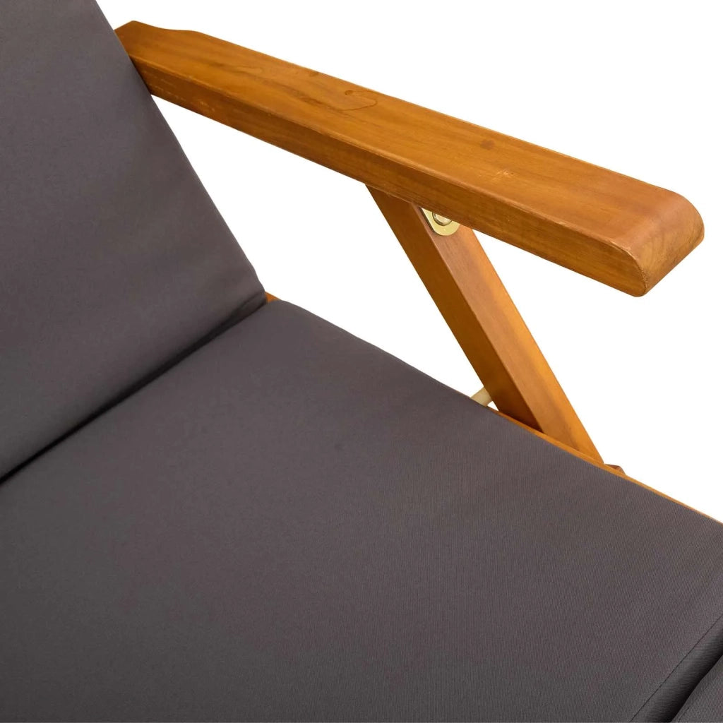 Lettino prendisole reclinabile e pieghevole 55 x 146 x 91 cm