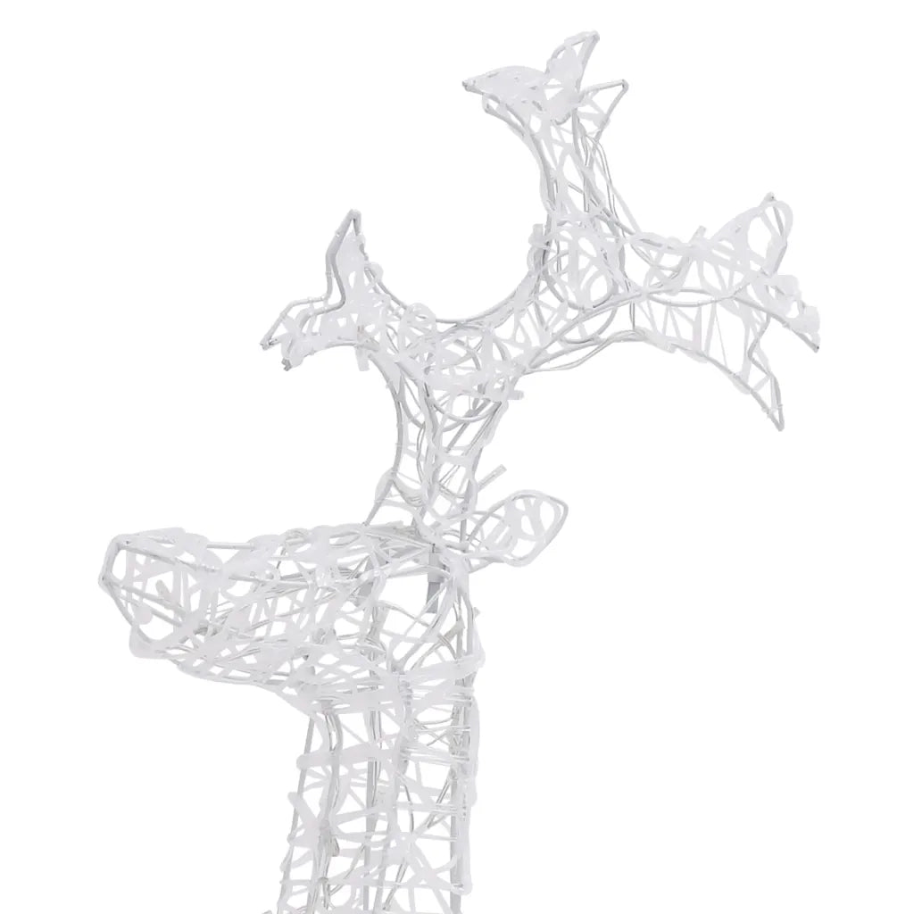 Renne e Slitta Decorazione Natale 90 LED-Luci decorative natalizie 60x16x100 cm Acrilico 248680