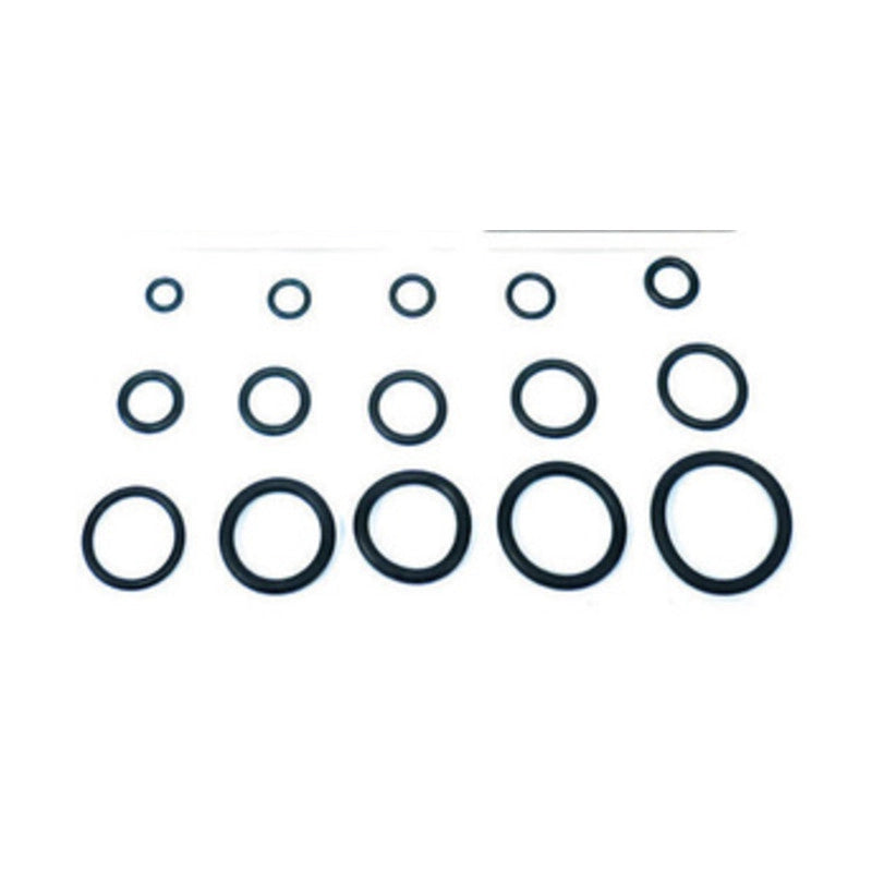 O-RING  8,90X1,90 P/FLESSIBILE MISCELATORE PZ.100