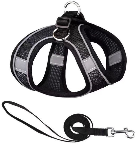 Cinturoni per cani - Linea anti-fuga per cani piccoli - Cinturone per gatti flessibile - Giacca per gatti respirante con riflessi - Linea di giacche per cani piccoli e medi - L