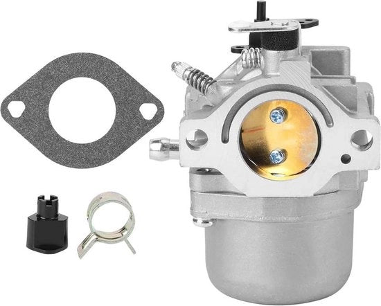 Accessori di ricambio per carburatore per giardino per Briggs Stratton 799728 498027 - 12 PS 12.5 PS - Contenuto in HTML